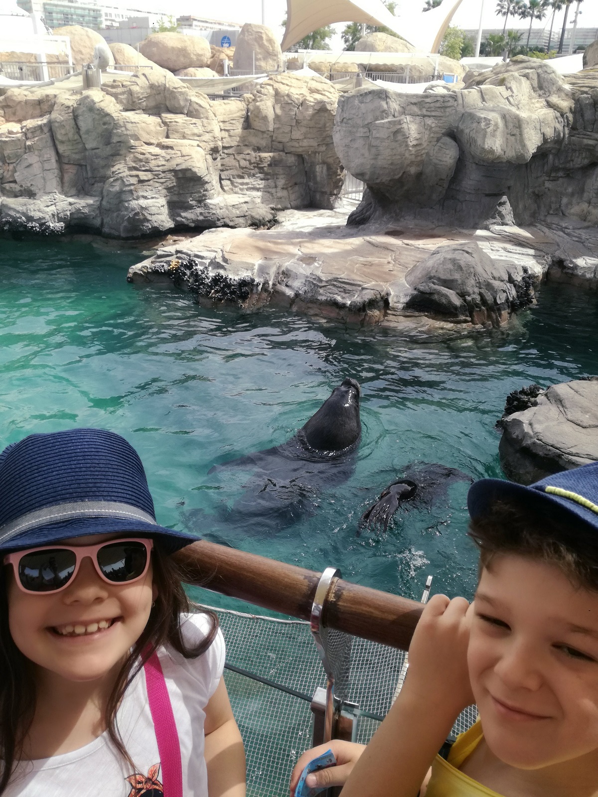 Copii la Oceanograf Valencia