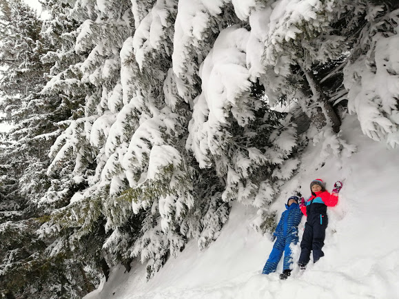 Paltinis - ana si stefan in zapada
