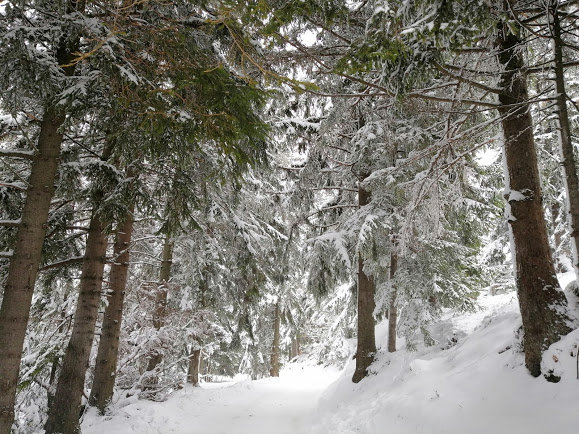 drum spre pensiune Paltinis