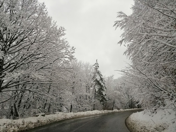 drum spre pensiune Paltinis