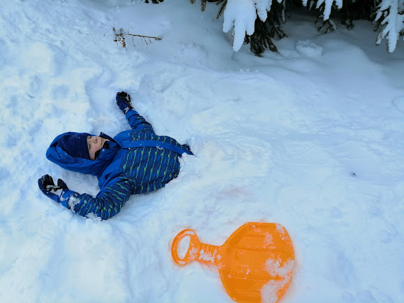 Paltinis - stefan in zapada 2