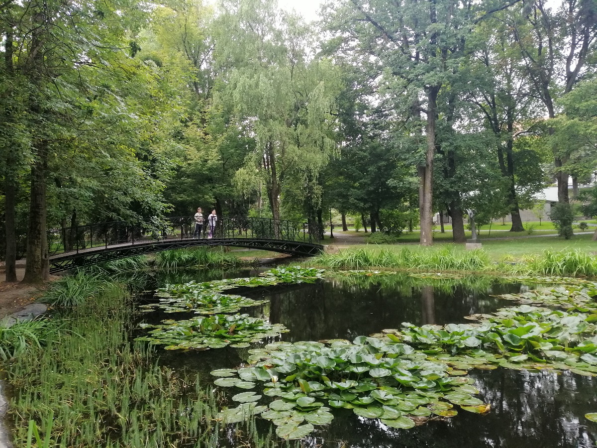 Sfantu Gheorghe - Ana si Stefan