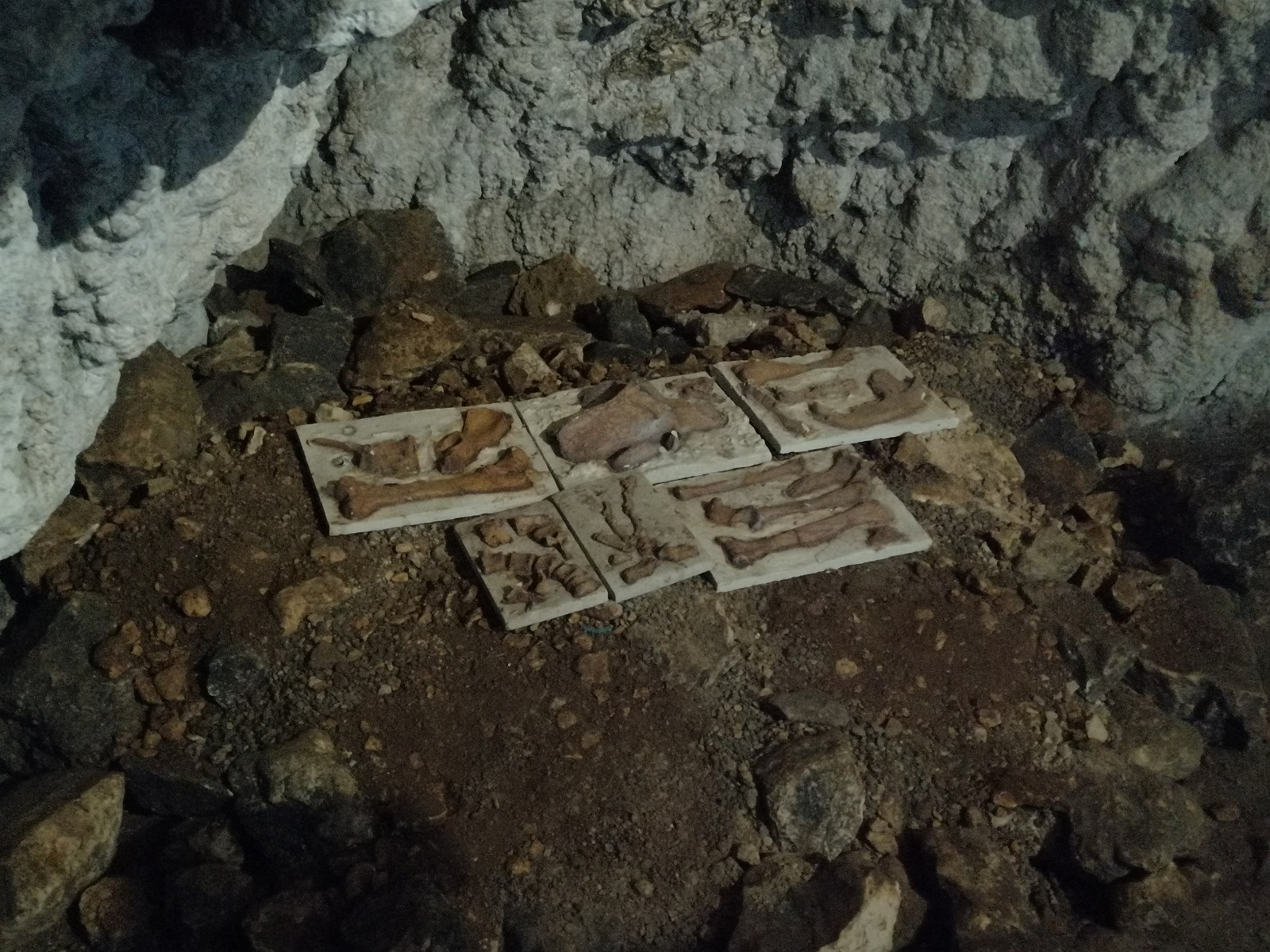 Pestera Dambovicioarei